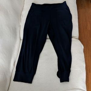 Lululemon Blue Jogger Pants Size 10